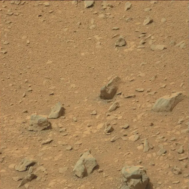 Sol 110: Mast Camera (Mastcam)