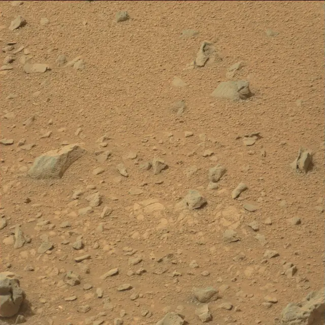 Sol 110: Mast Camera (Mastcam)