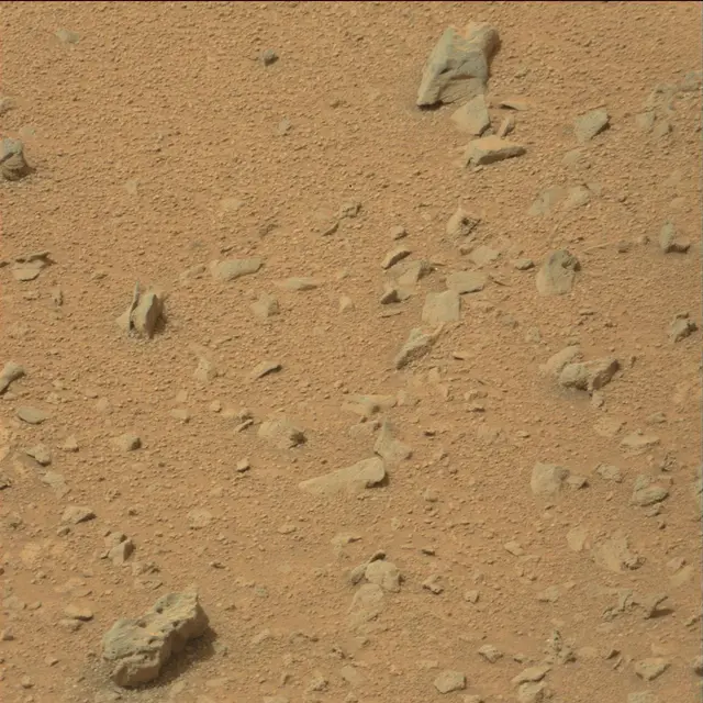 Sol 110: Mast Camera (Mastcam)