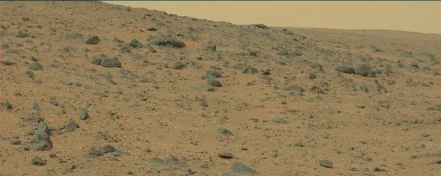 Sol 111: Mast Camera (Mastcam)