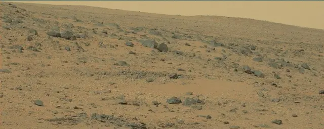 Sol 111: Mast Camera (Mastcam)
