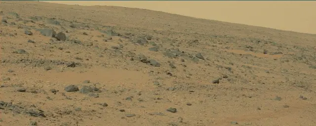 Sol 111: Mast Camera (Mastcam)