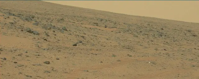 Sol 111: Mast Camera (Mastcam)