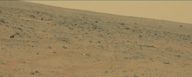 Sol 111: Mast Camera (Mastcam)