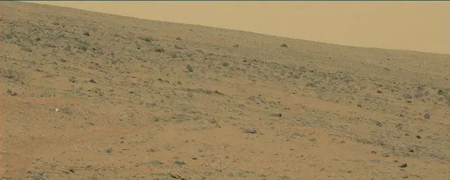 Sol 111: Mast Camera (Mastcam)