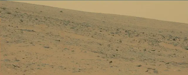 Sol 111: Mast Camera (Mastcam)