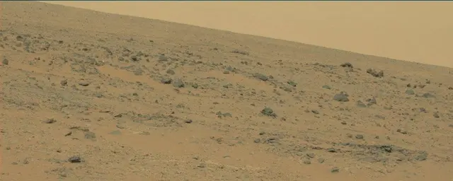 Sol 111: Mast Camera (Mastcam)