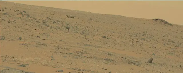 Sol 111: Mast Camera (Mastcam)