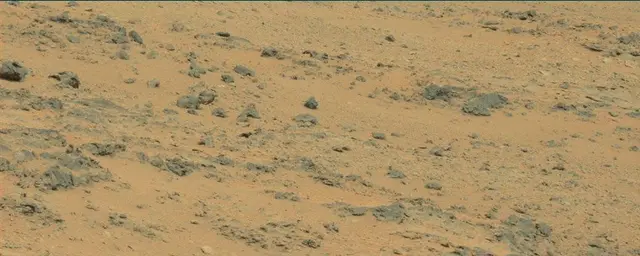 Sol 111: Mast Camera (Mastcam)