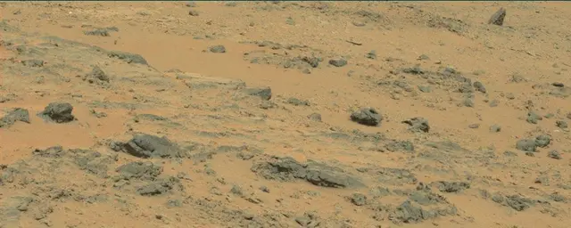 Sol 111: Mast Camera (Mastcam)
