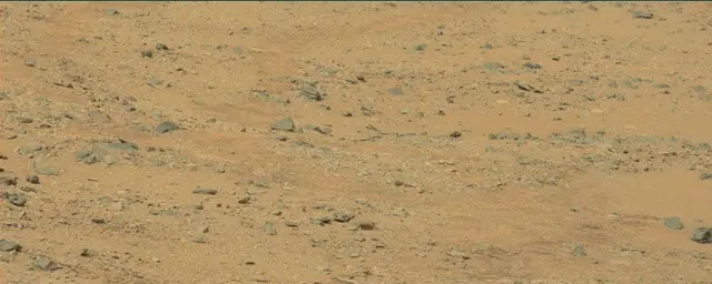 Sol 111: Mast Camera (Mastcam)