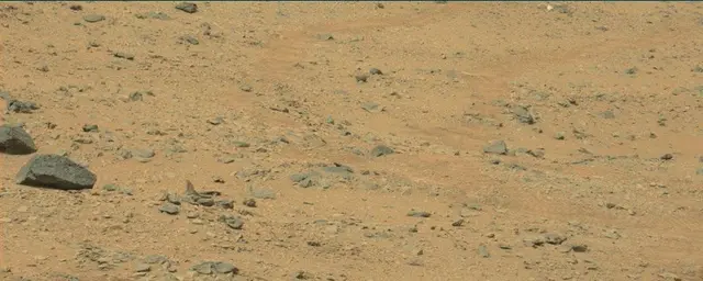 Sol 111: Mast Camera (Mastcam)