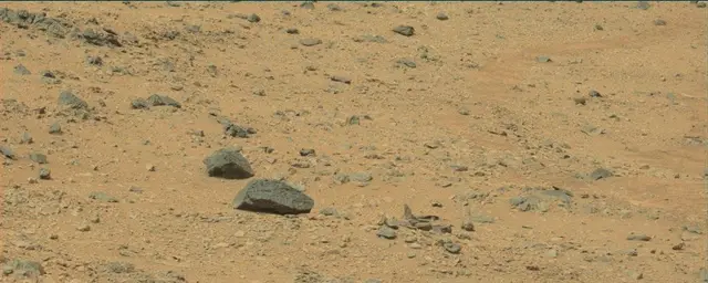 Sol 111: Mast Camera (Mastcam)