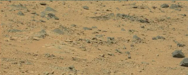Sol 111: Mast Camera (Mastcam)
