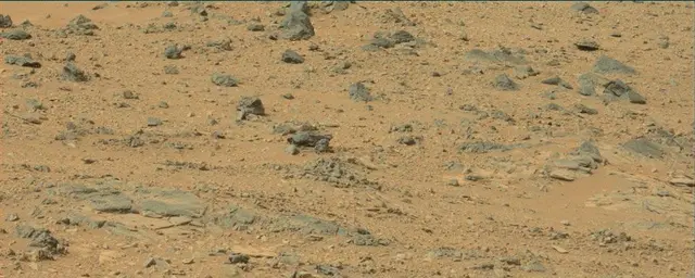 Sol 111: Mast Camera (Mastcam)