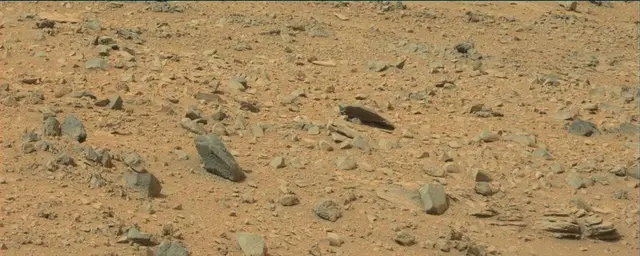 Sol 111: Mast Camera (Mastcam)
