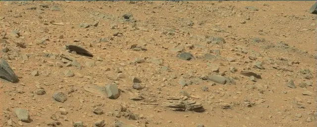 Sol 111: Mast Camera (Mastcam)