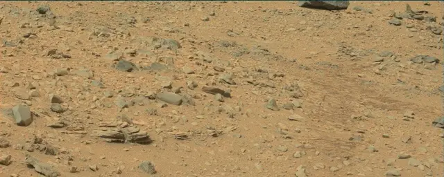 Sol 111: Mast Camera (Mastcam)