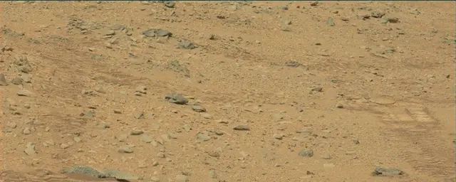 Sol 111: Mast Camera (Mastcam)