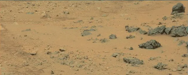 Sol 111: Mast Camera (Mastcam)