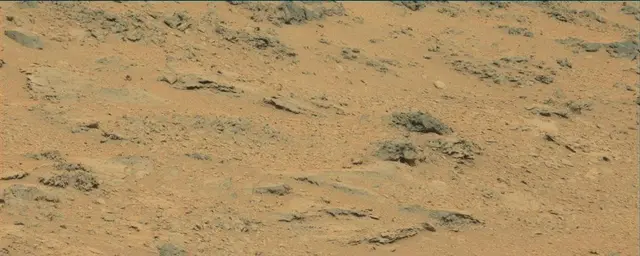 Sol 111: Mast Camera (Mastcam)