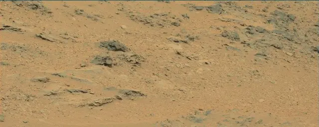 Sol 111: Mast Camera (Mastcam)