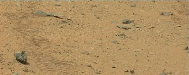 Sol 111: Mast Camera (Mastcam)