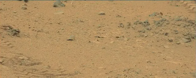 Sol 111: Mast Camera (Mastcam)
