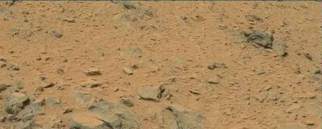 Sol 111: Mast Camera (Mastcam)