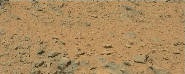 Sol 111: Mast Camera (Mastcam)