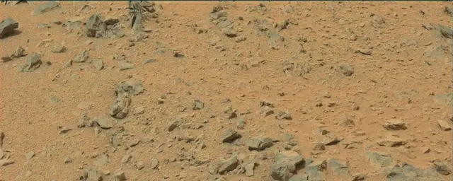 Sol 111: Mast Camera (Mastcam)