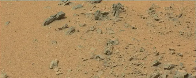 Sol 111: Mast Camera (Mastcam)