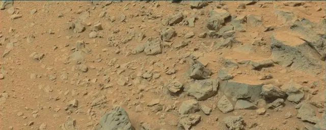 Sol 111: Mast Camera (Mastcam)