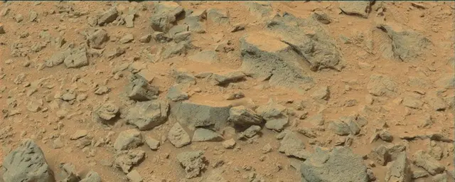 Sol 111: Mast Camera (Mastcam)