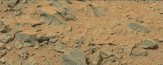 Sol 111: Mast Camera (Mastcam)