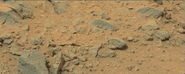 Sol 111: Mast Camera (Mastcam)