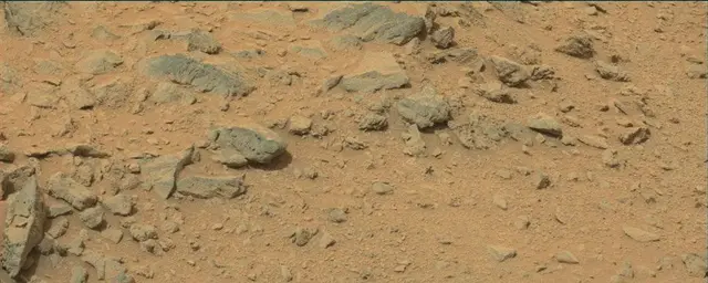 Sol 111: Mast Camera (Mastcam)