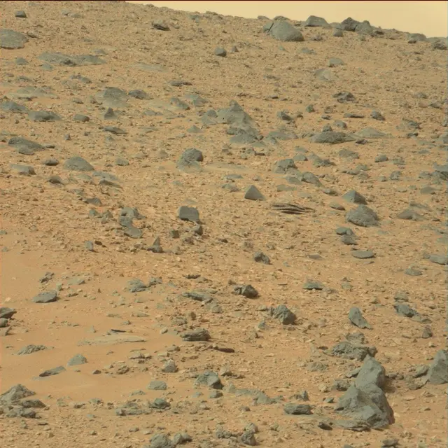 Sol 111: Mast Camera (Mastcam)