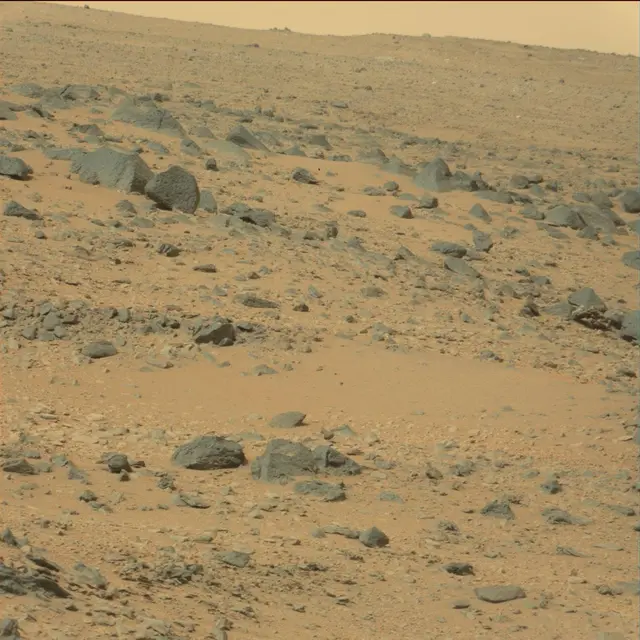 Sol 111: Mast Camera (Mastcam)