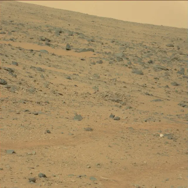 Sol 111: Mast Camera (Mastcam)