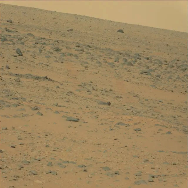 Sol 111: Mast Camera (Mastcam)