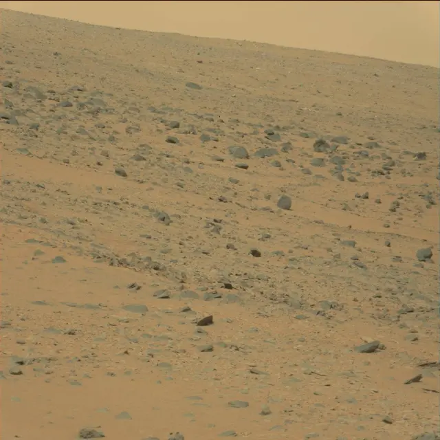 Sol 111: Mast Camera (Mastcam)