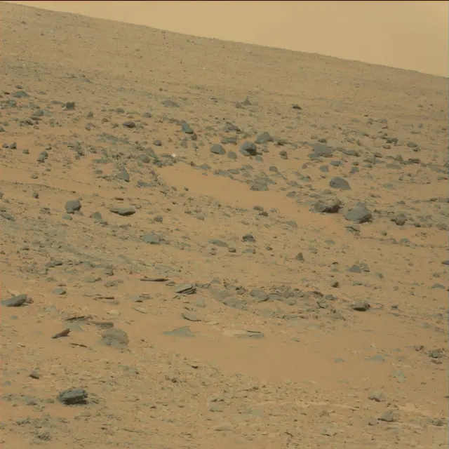 Sol 111: Mast Camera (Mastcam)