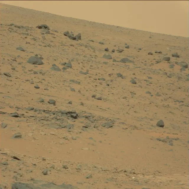 Sol 111: Mast Camera (Mastcam)