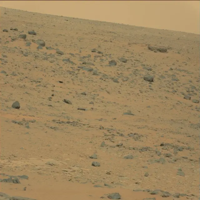 Sol 111: Mast Camera (Mastcam)
