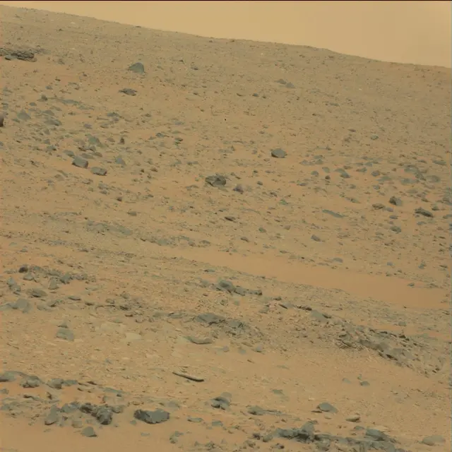 Sol 111: Mast Camera (Mastcam)