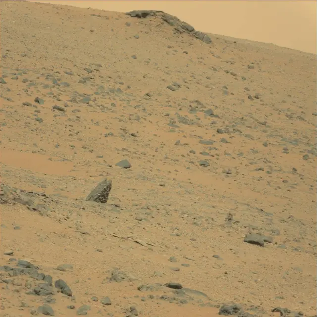 Sol 111: Mast Camera (Mastcam)