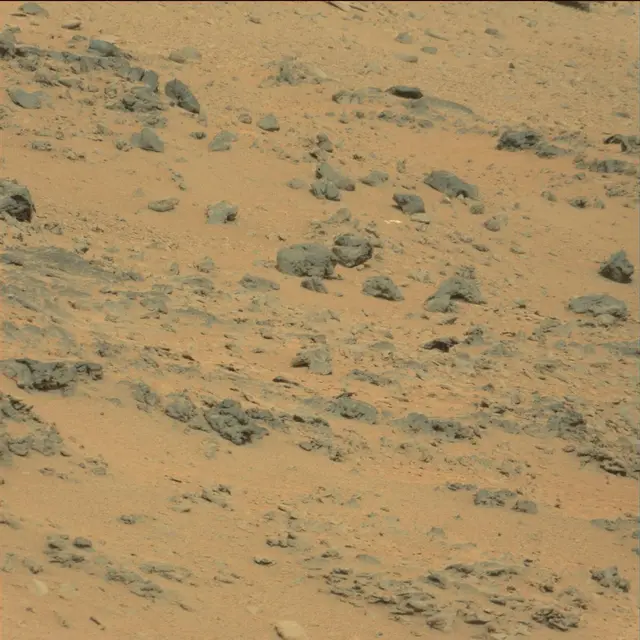 Sol 111: Mast Camera (Mastcam)