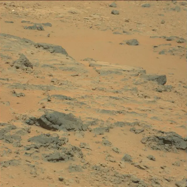 Sol 111: Mast Camera (Mastcam)
