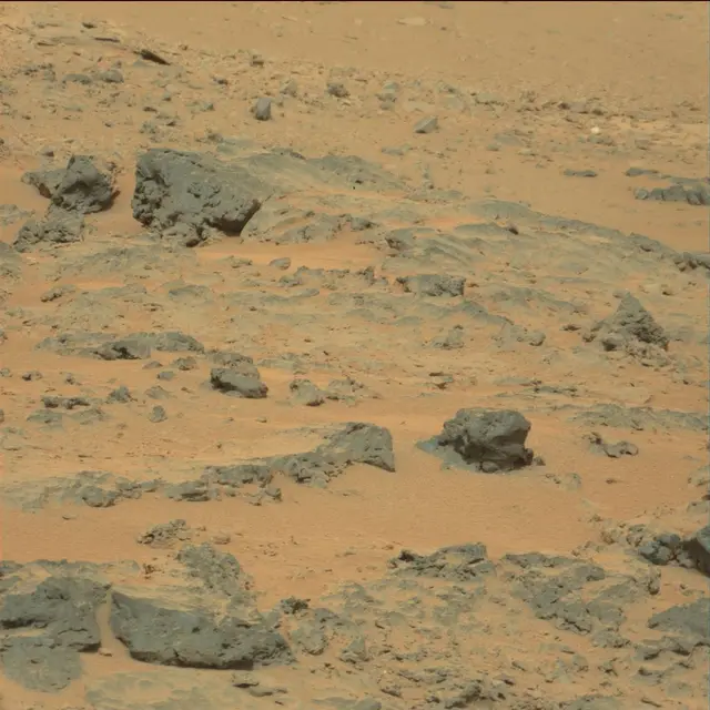 Sol 111: Mast Camera (Mastcam)